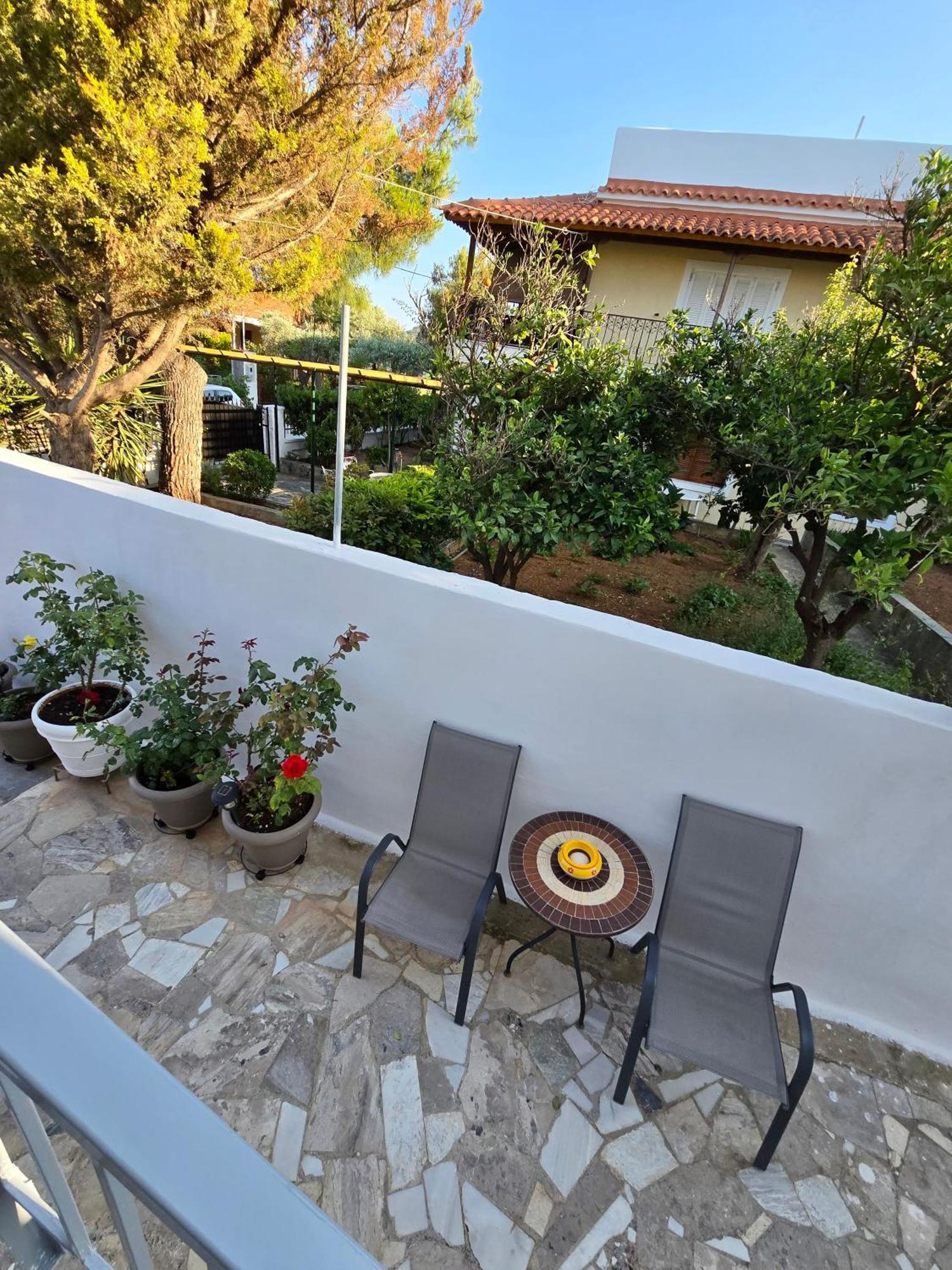 Sofia's Seaview Near Airport And Beach * Луца